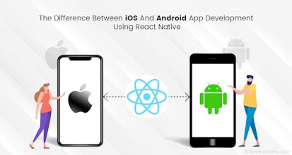 website and mobile app developers gallery image