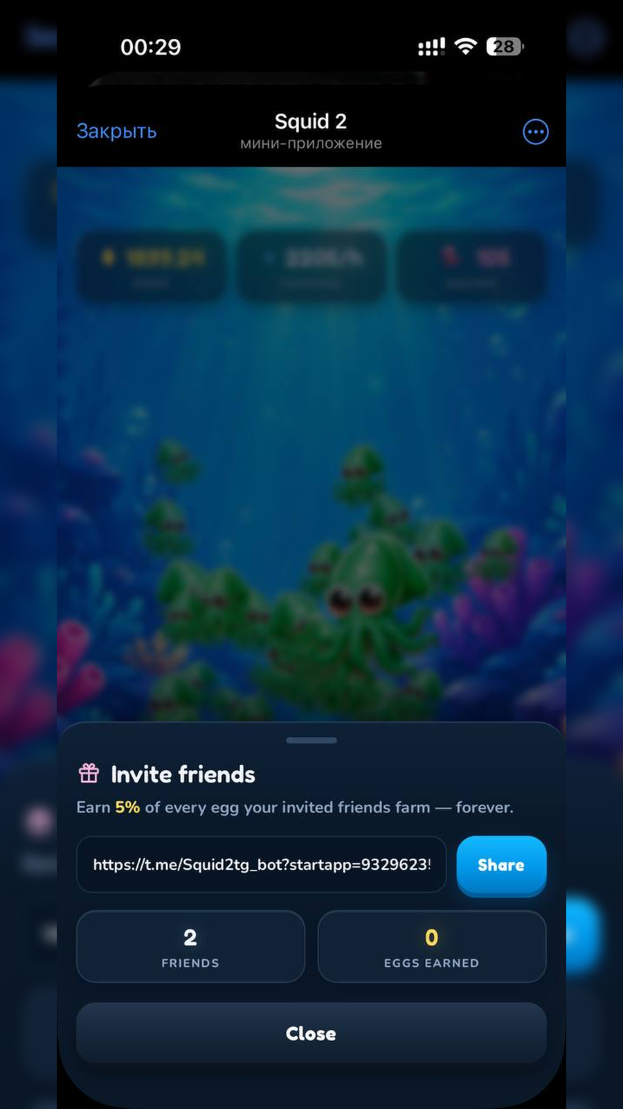Squid 2 gallery image