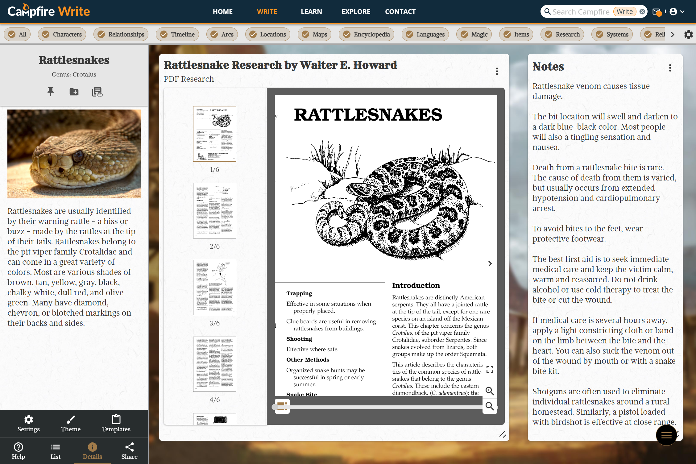 Campfire gallery image
