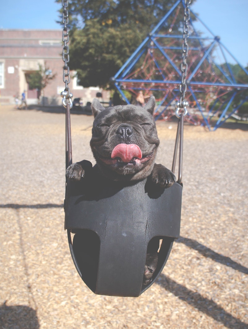 Recess Labs gallery image