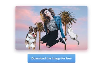 Trace 2.0 by Sticker Mule gallery image