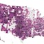 Maps! Election Day 2016