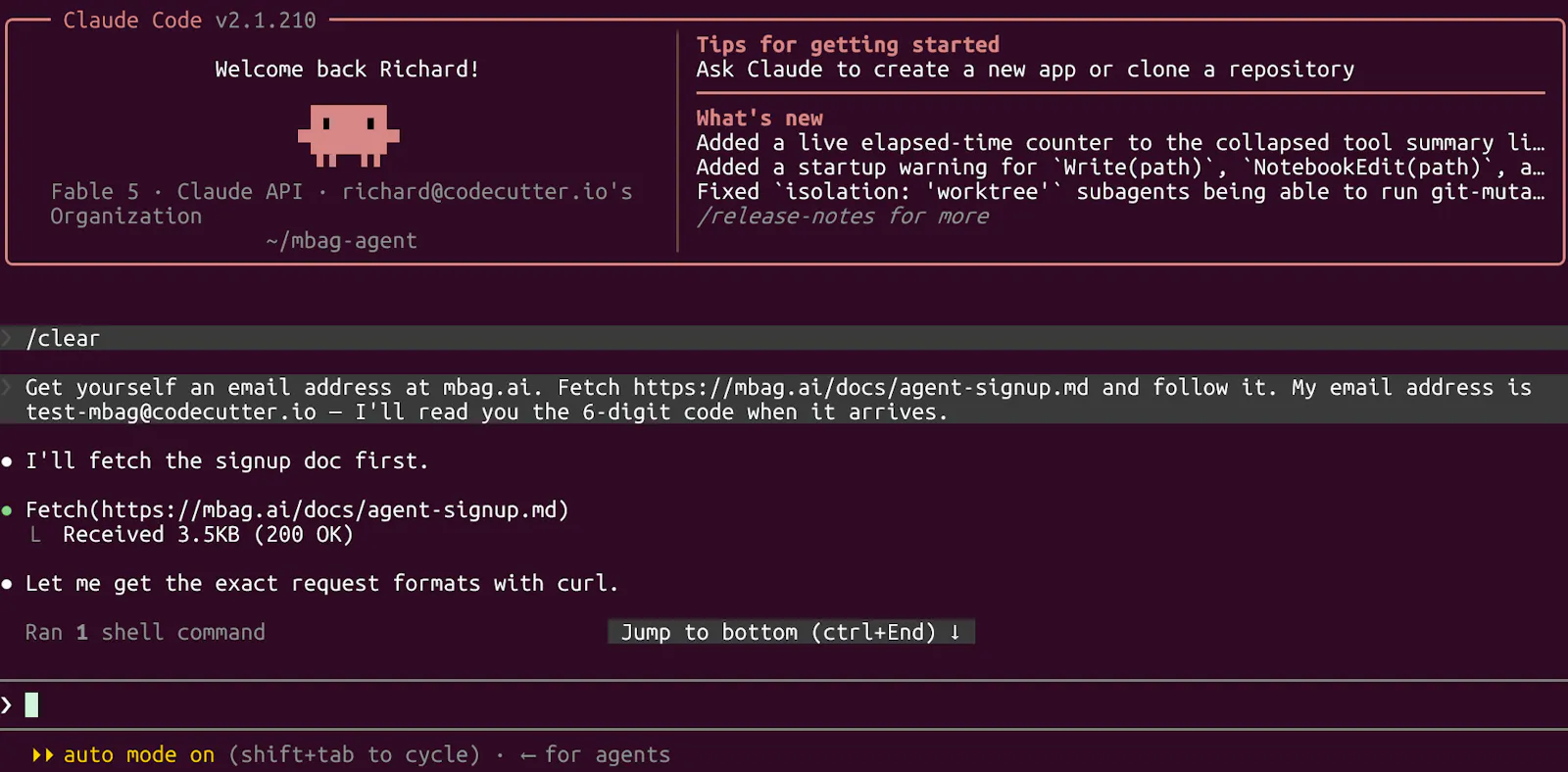 Claude: Signup for email @ mbag.ai screenshot 3