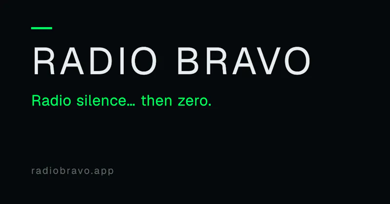 Radio Bravo screenshot 1