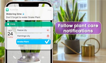 PlantIn gallery image