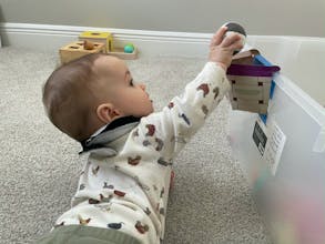 Learning Babies gallery image