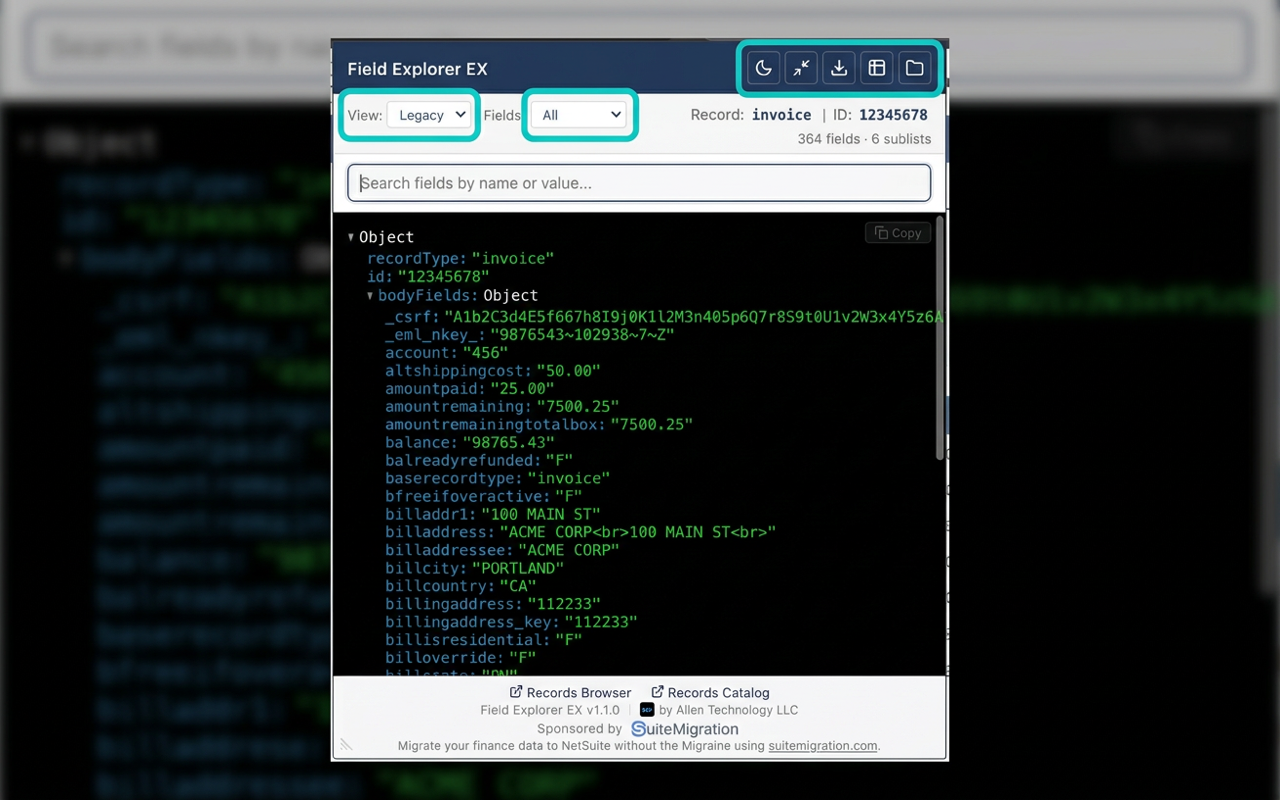 NetSuite Field Explorer EX - Screenshot 3 showing product features and functionality