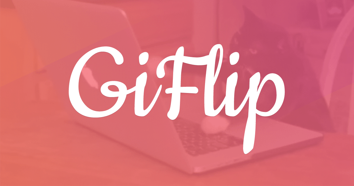 GiFlip.co media 1