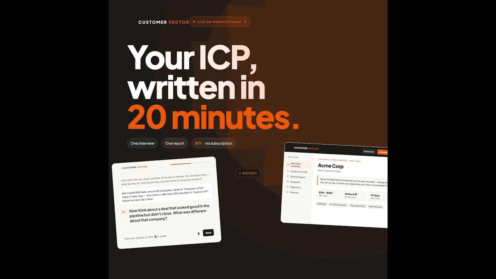 CustomerVector screenshot 1 (video preview)