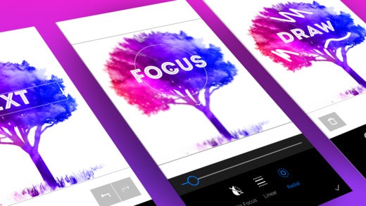 Artful gallery image