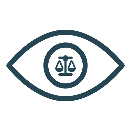 themis.vision