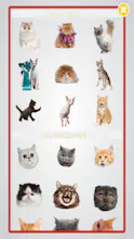 Cat Bomb gallery image