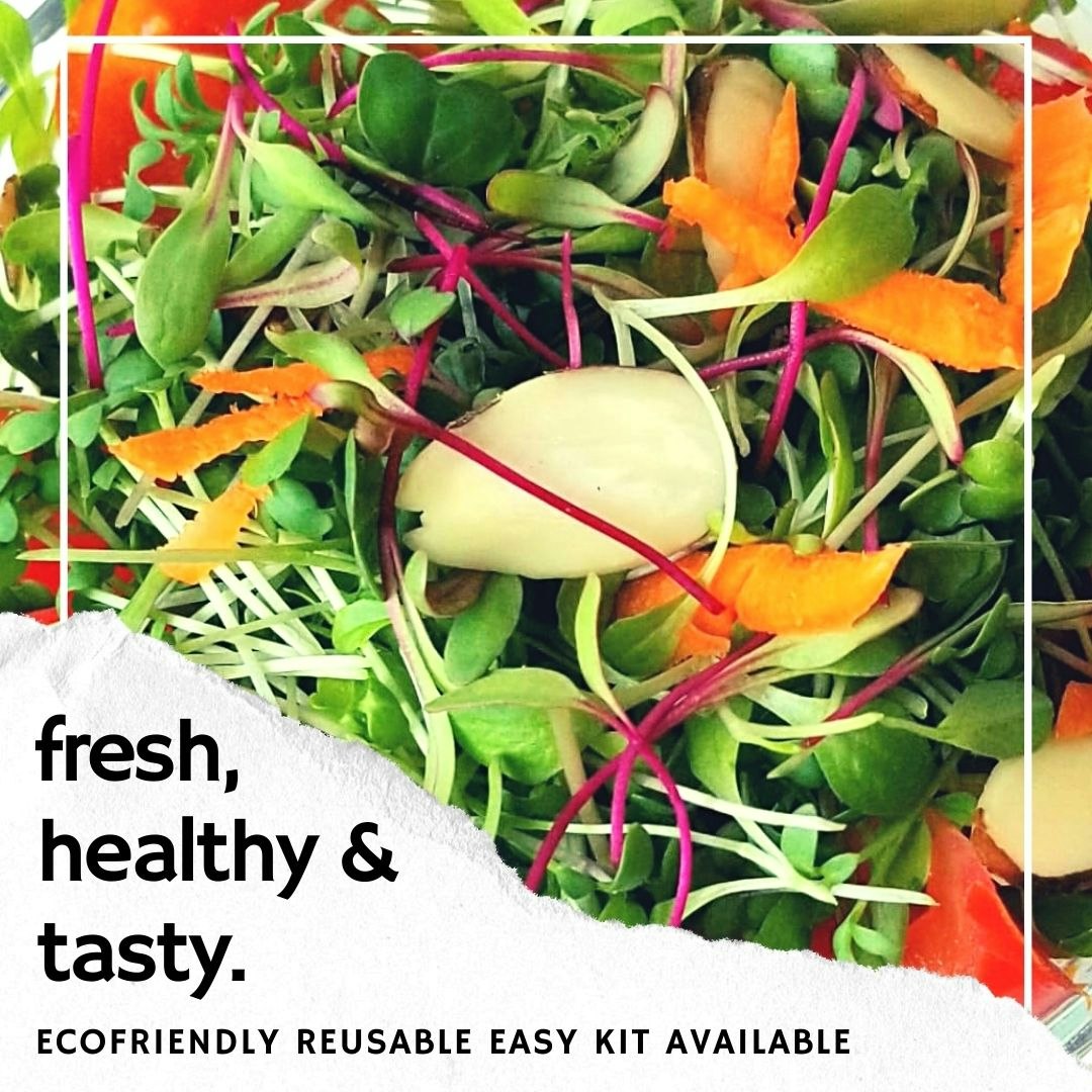 Ecofrindly, fresh, and tasty superfood 