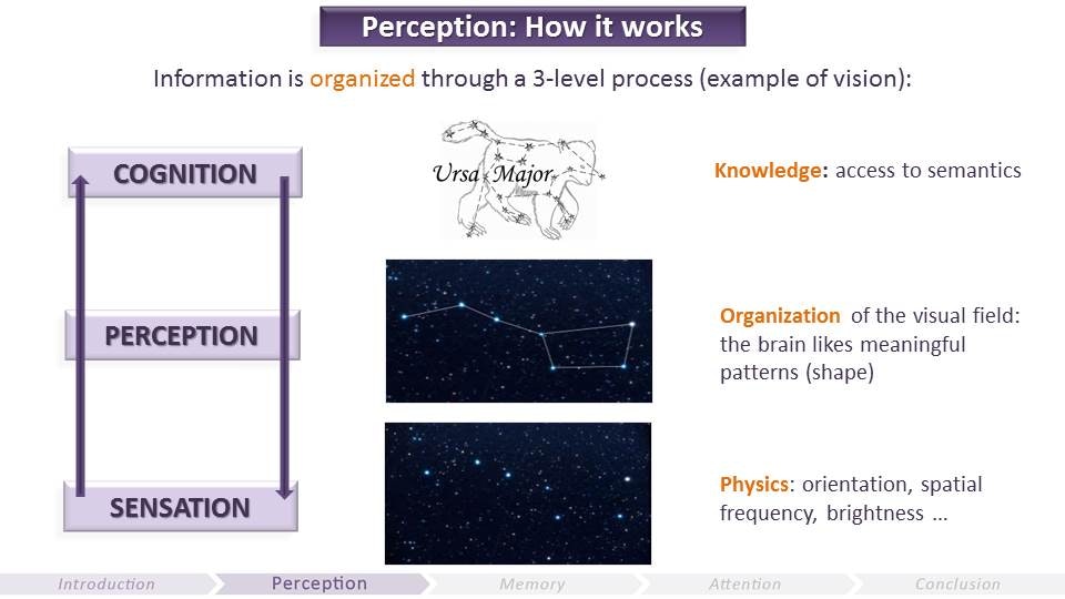 The Gamer’s Brain gallery image