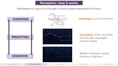 The Gamer’s Brain gallery image