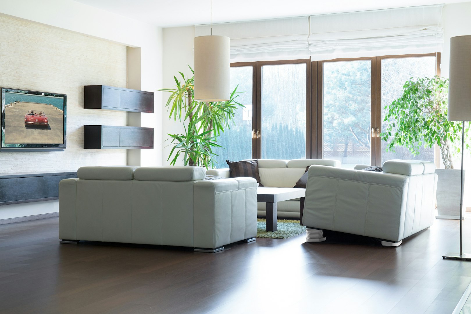 Immersit gallery image