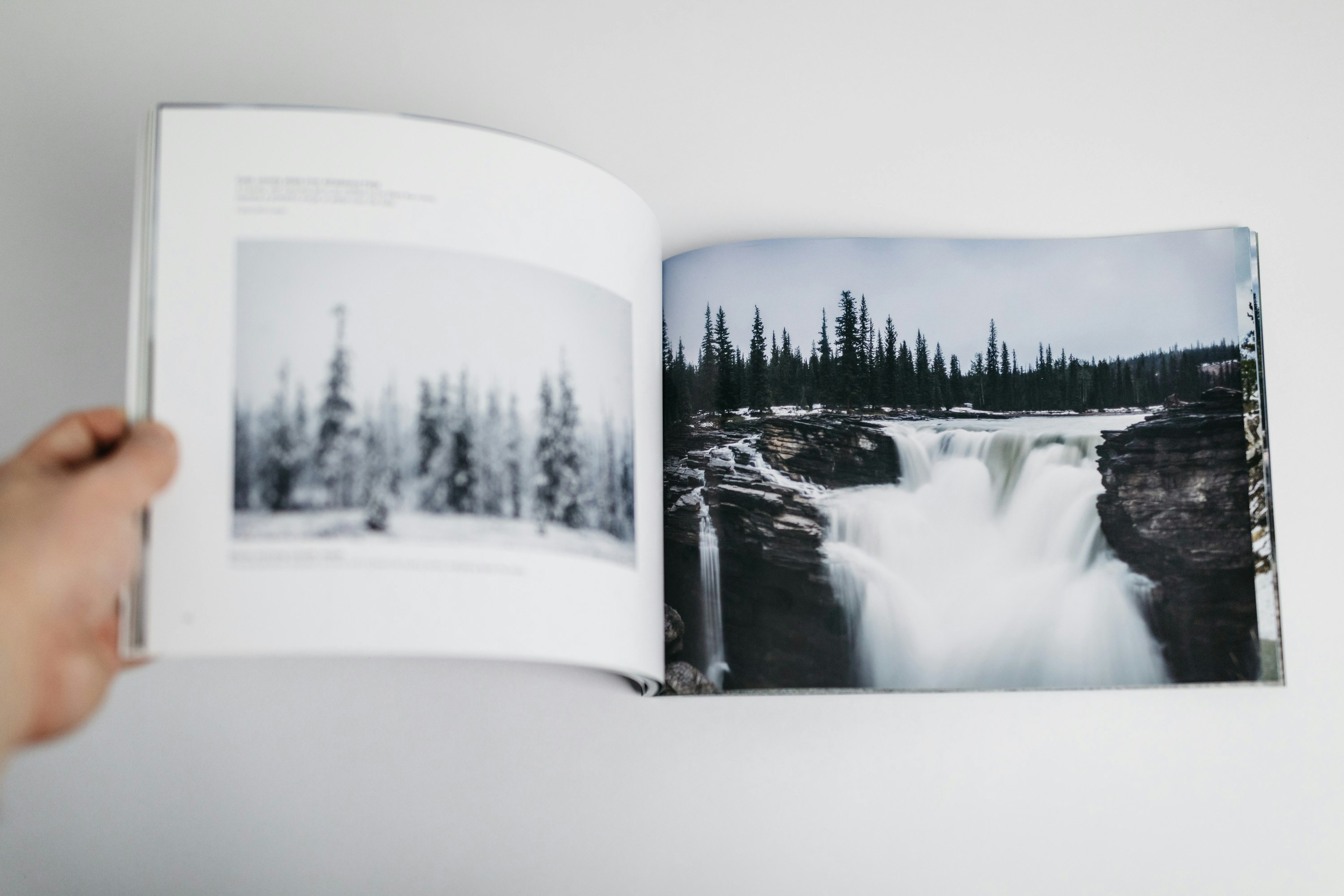 The Canadian Rockies gallery image