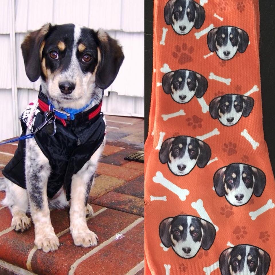 Pup Socks gallery image