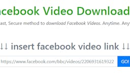 Facebook Video Downloader media 2