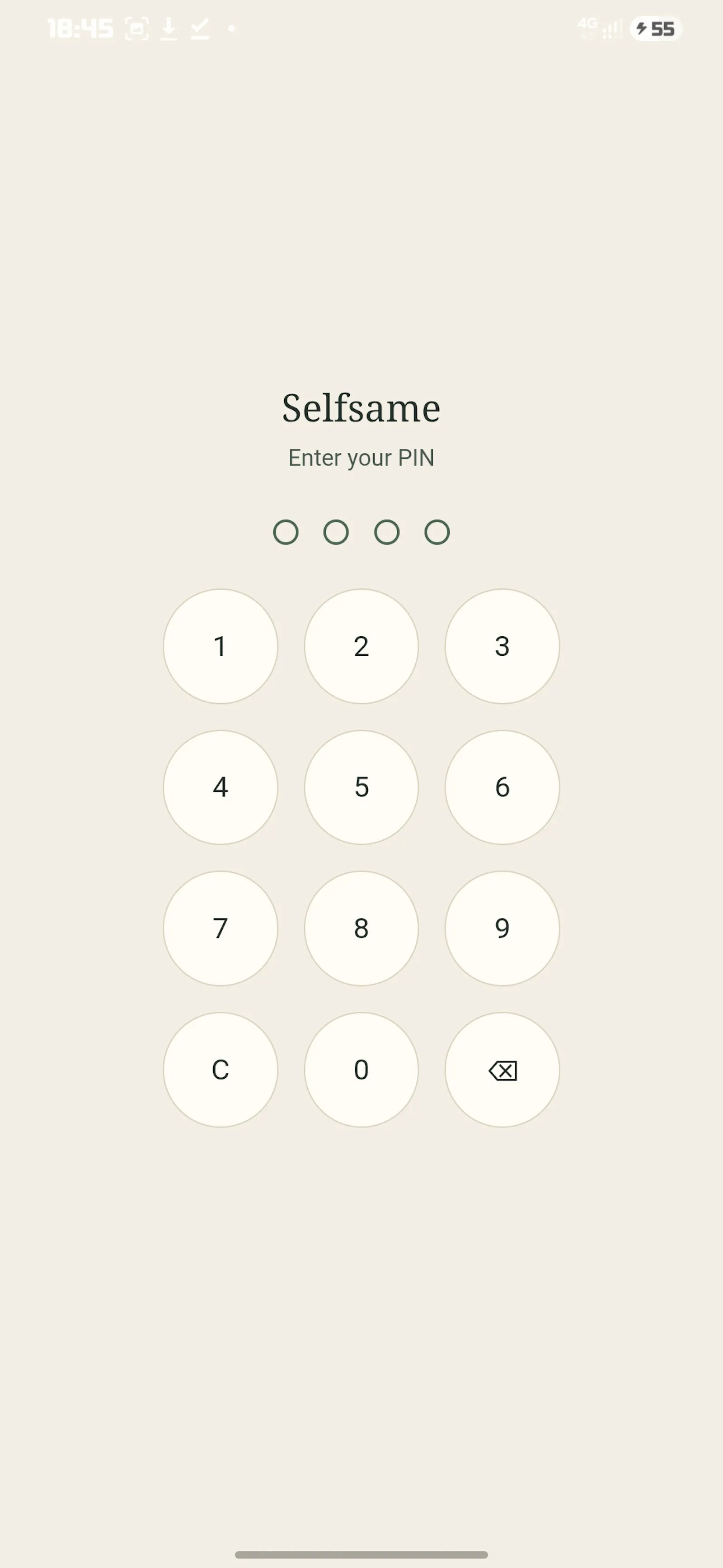 Selfsame screenshot 3
