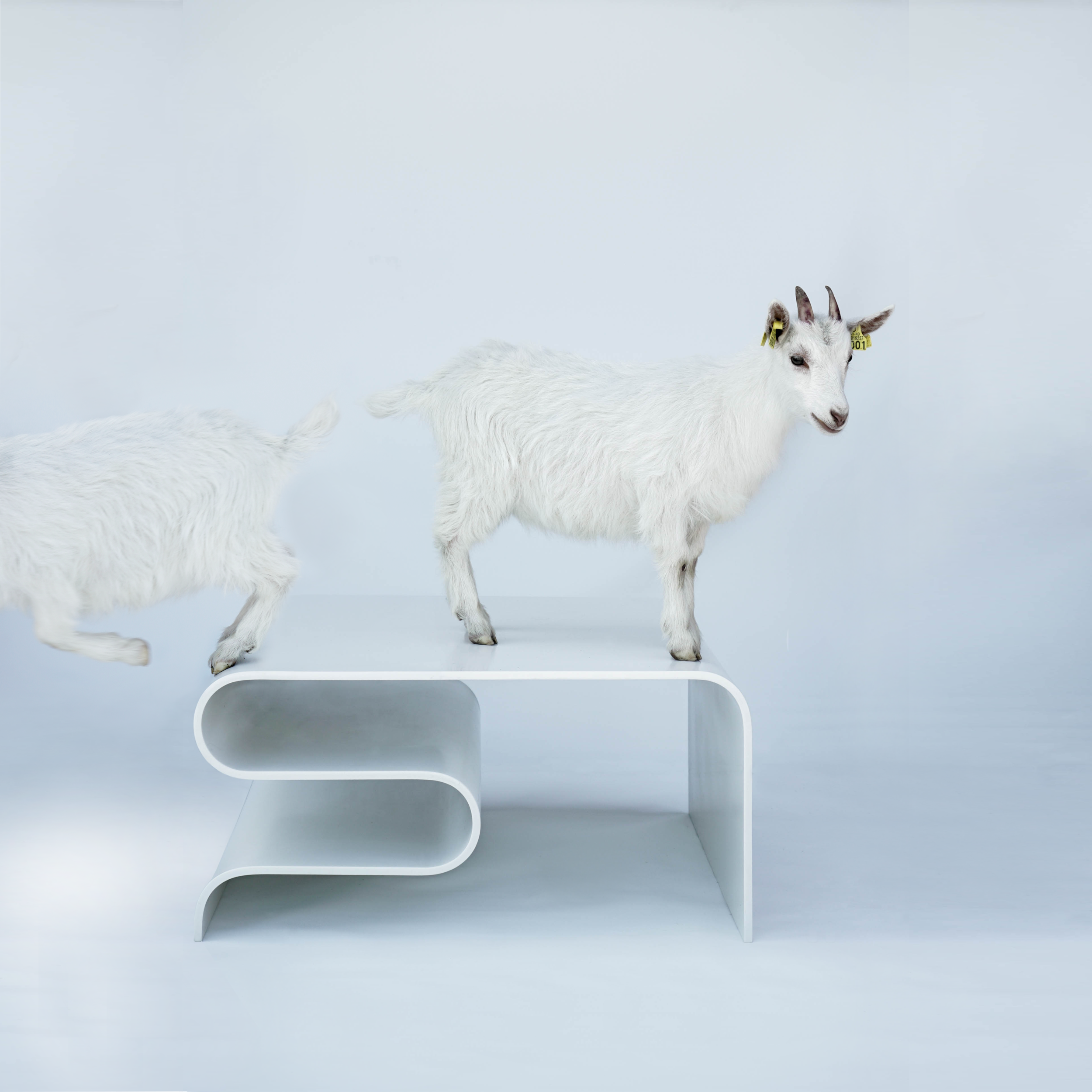 Folder Corian Table gallery image