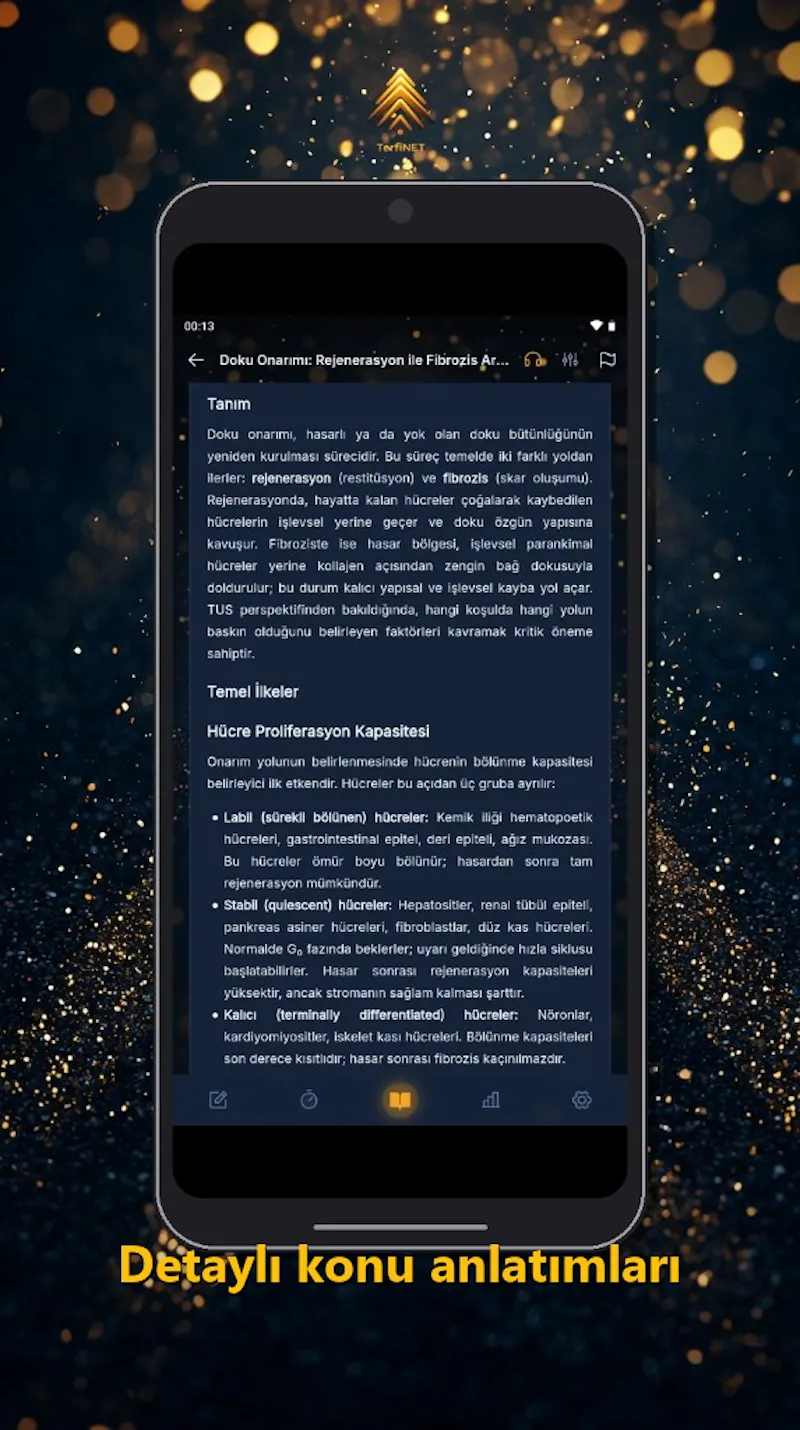 TerfiNET screenshot 44