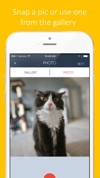 Instalayer gallery image