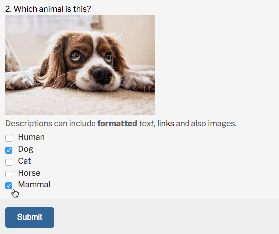 Média Plugin WordPress Quiz Manager - Plugin permet aux utilisateurs de créer et de gérer des quiz sur votre site. 6