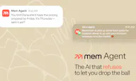 Mem Agent