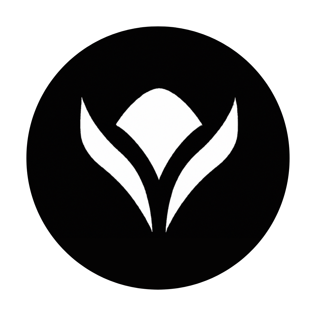 Persona