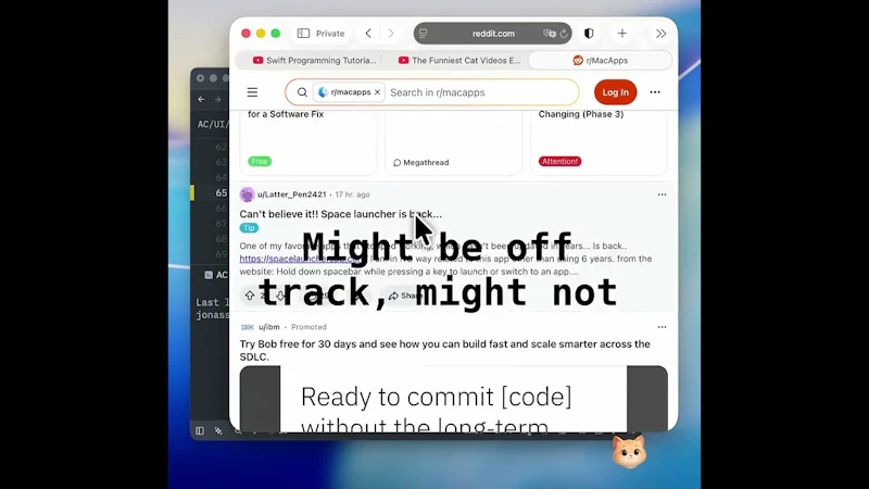 AccountyCat screenshot 1 (video preview)