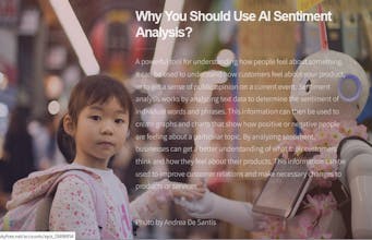 AI Sentiment Analysis gallery image
