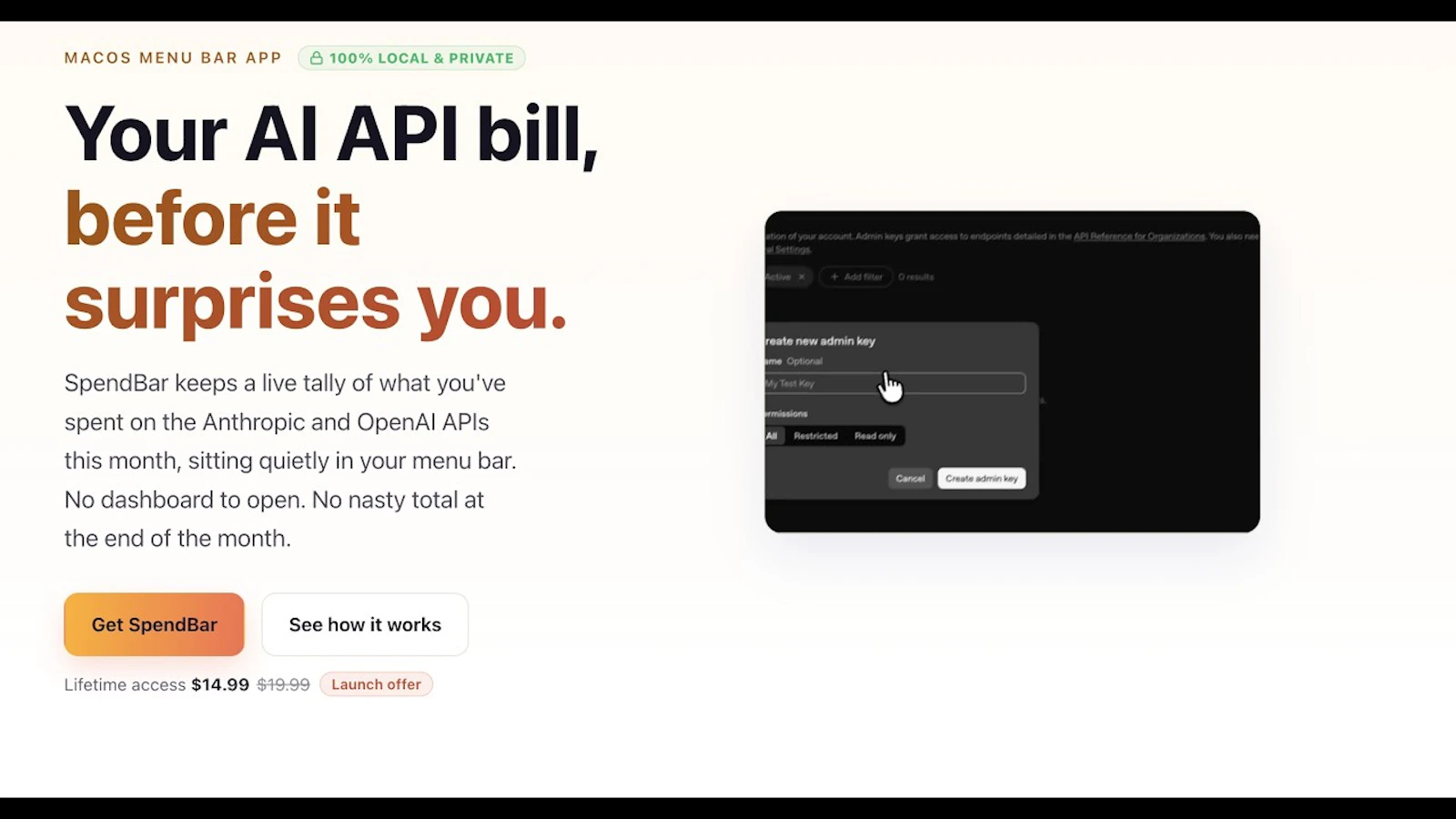 SpendBar screenshot 1 (video preview)