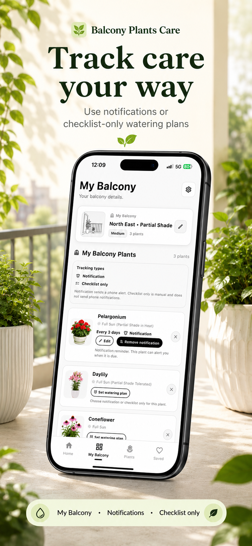 Blacony plants care recomedation  gallery image