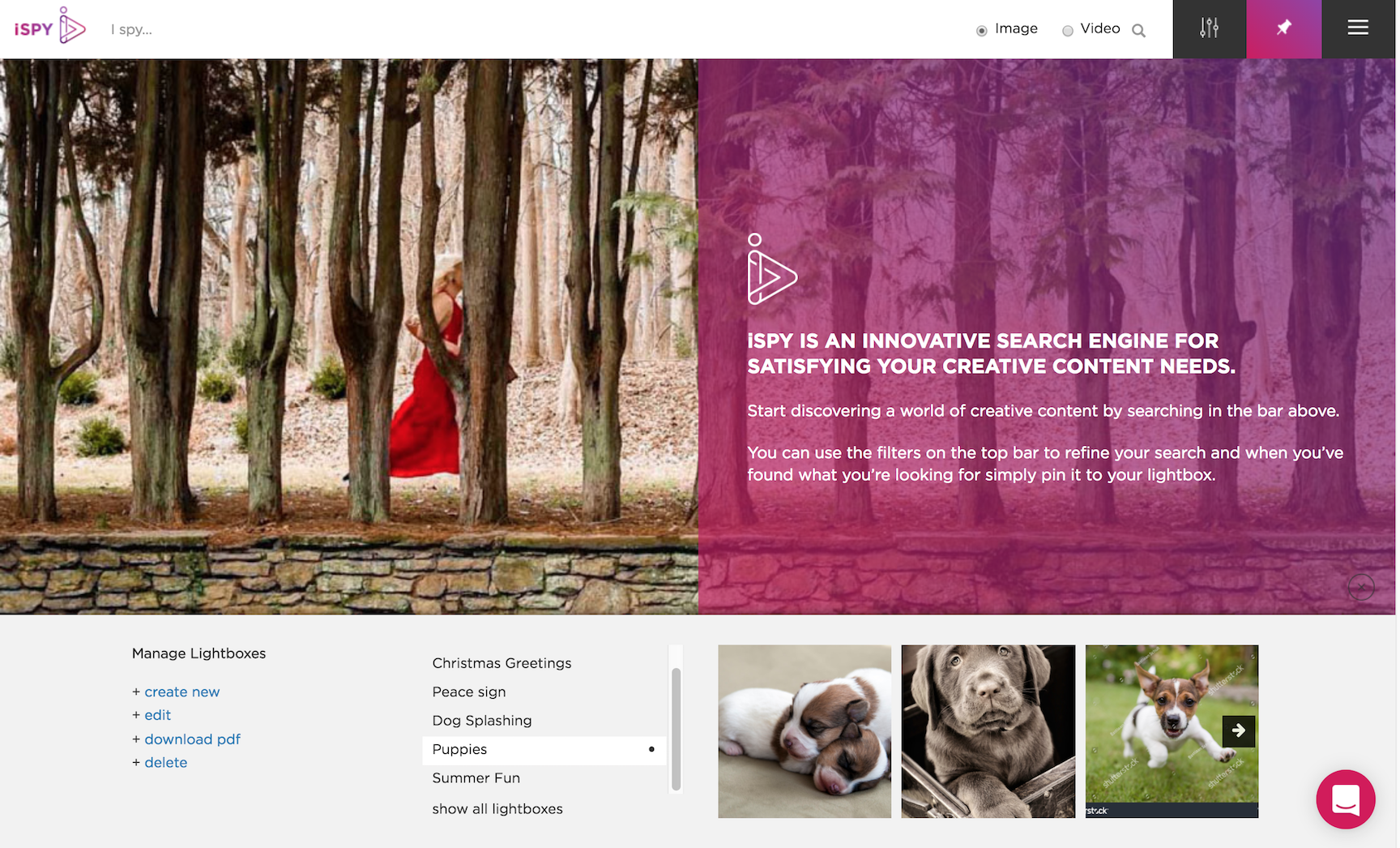 iSPY Visuals gallery image