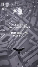 Pigeon: A Love Story gallery image
