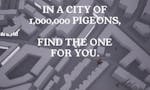 Pigeon: A Love Story image