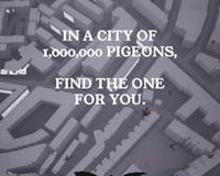 Pigeon: A Love Story media 2