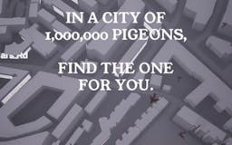 Pigeon: A Love Story media 2