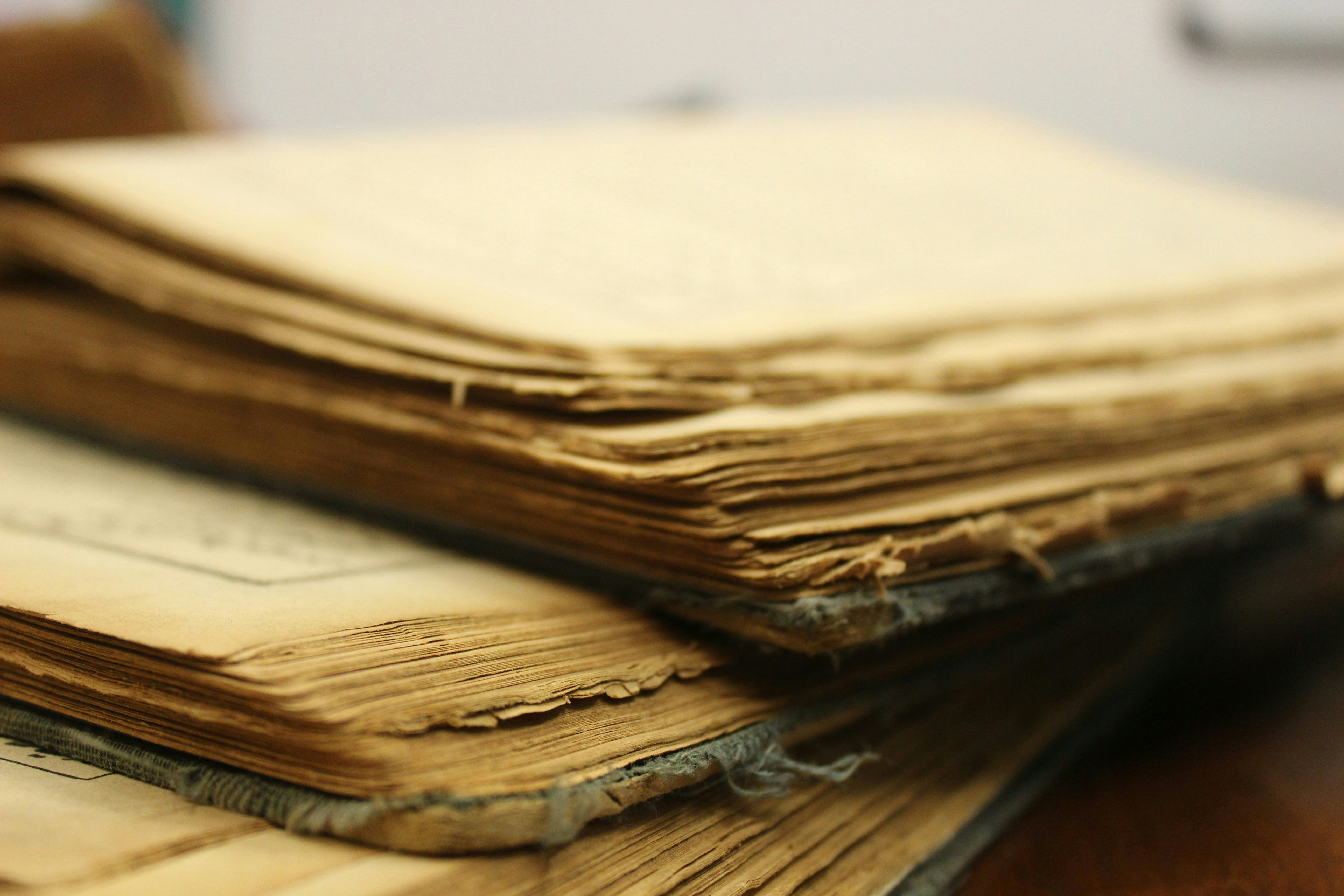 Echo4ever gallery image