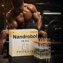Nandrobol Amp gallery image