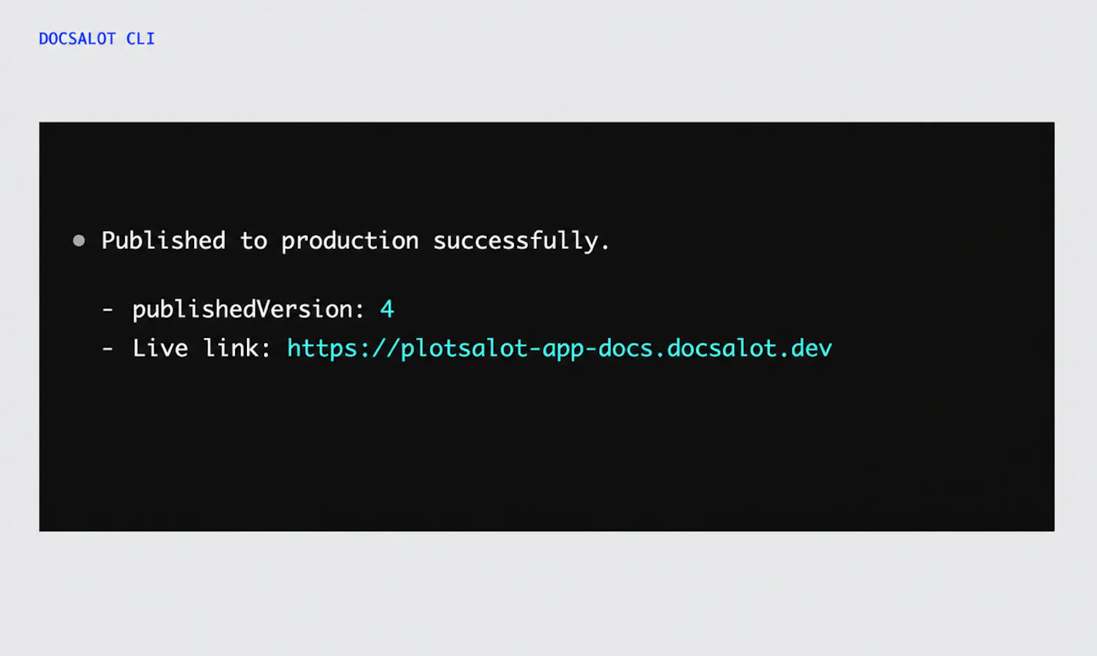 DocsAlot CLI screenshot 6