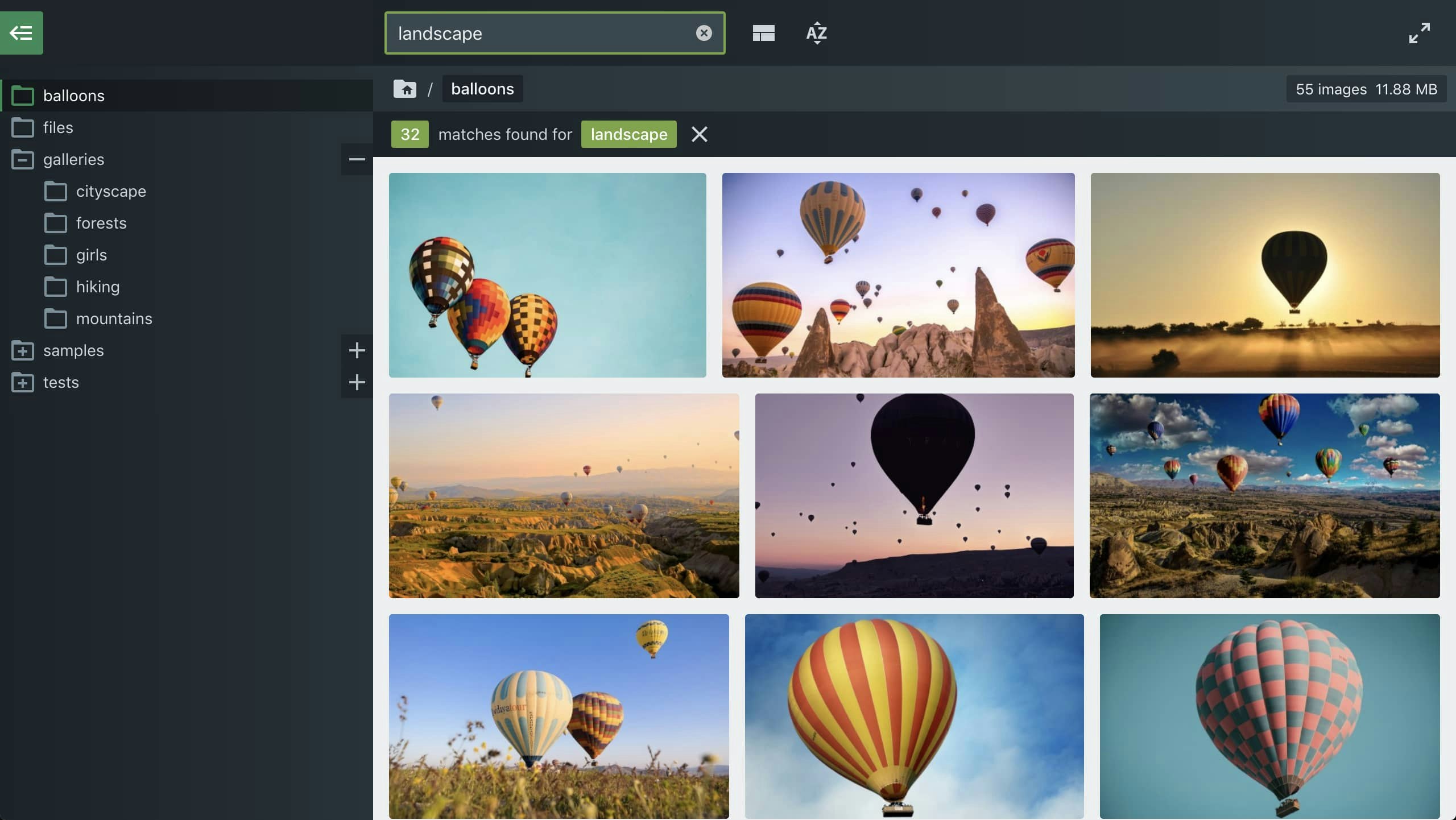 Files App gallery image