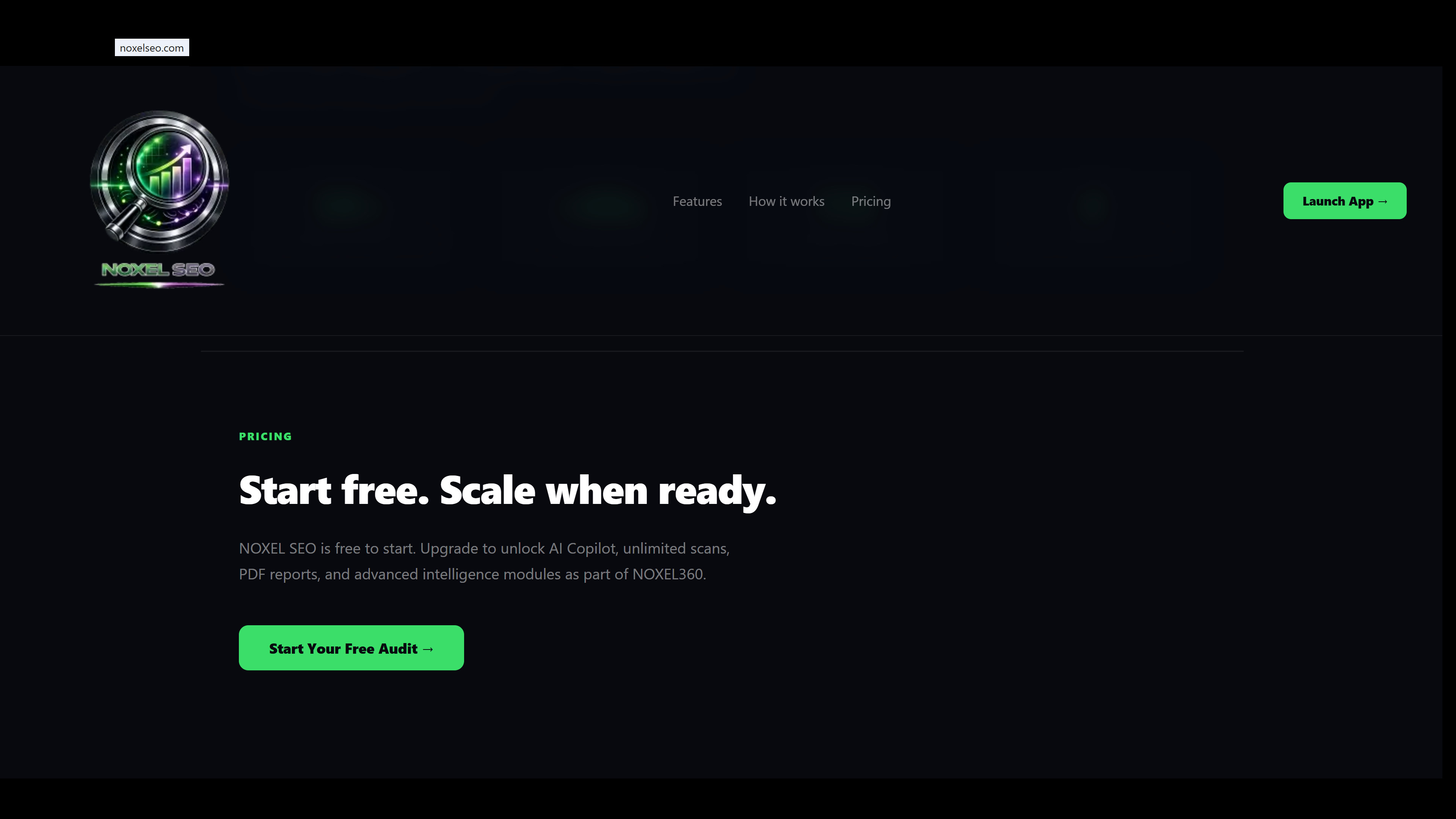 NOXEL SEO gallery image