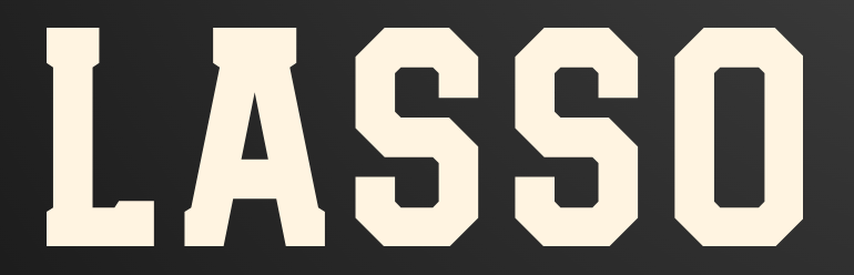 Lasso media 2