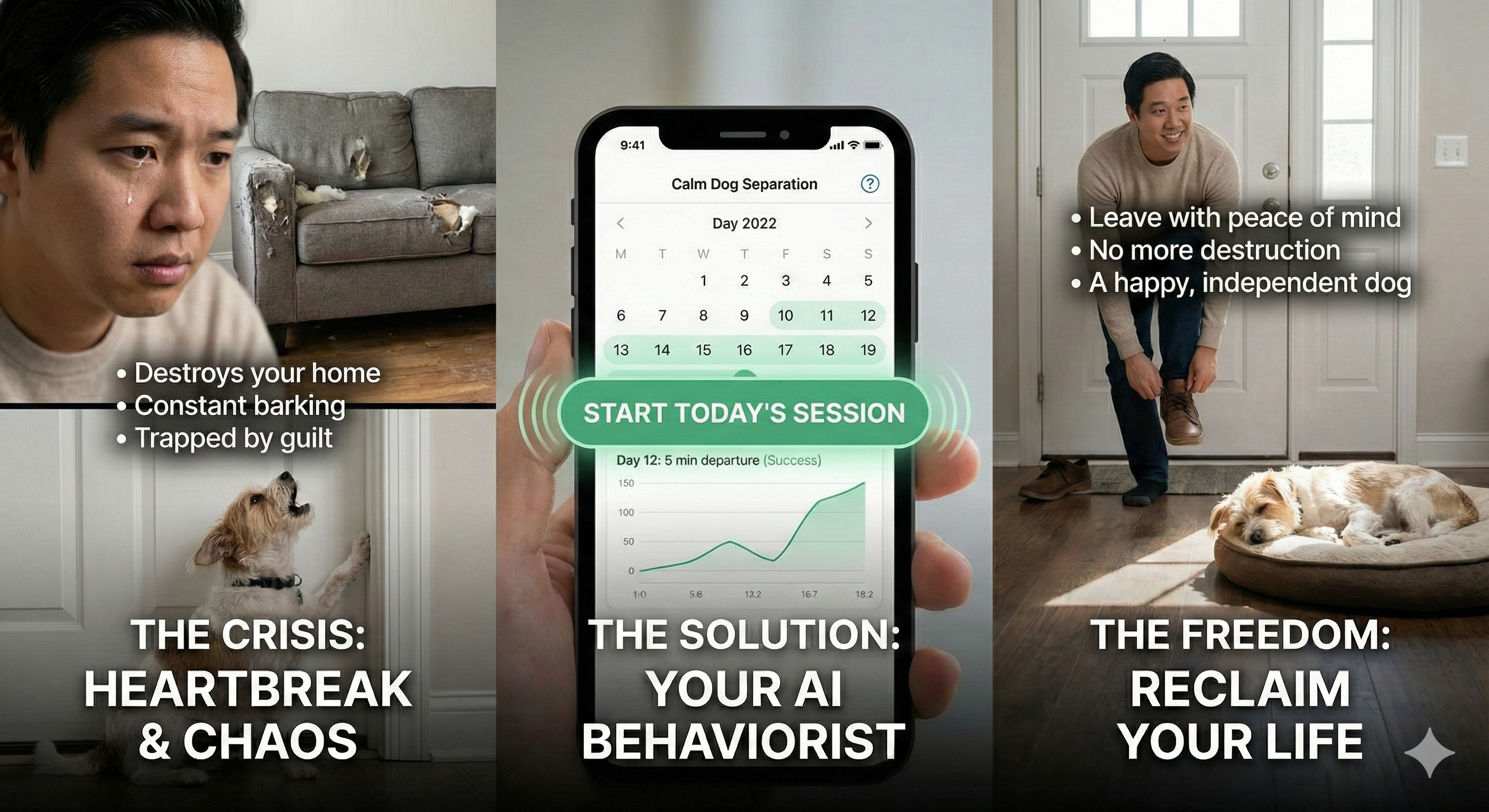 Calm Dog Separation - Screenshot 4 showing product features and functionality