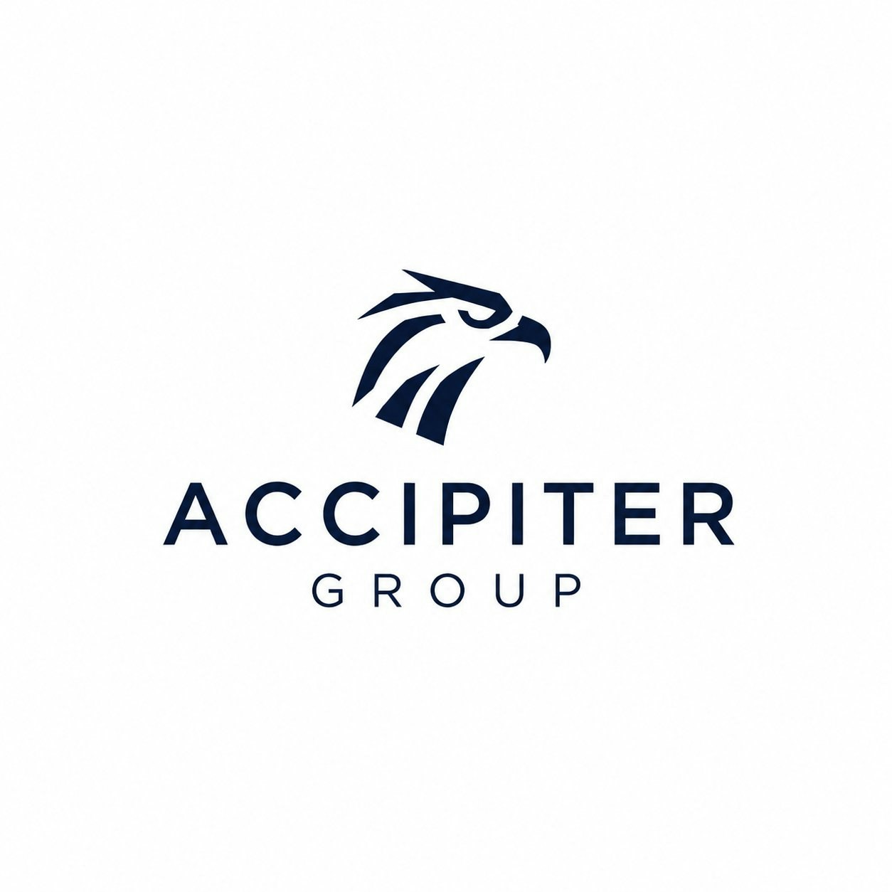 Accipiter Group