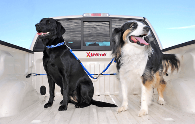 Xtreme Pet Product gallery image