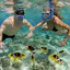 Snorkeling with turtles Waikiki