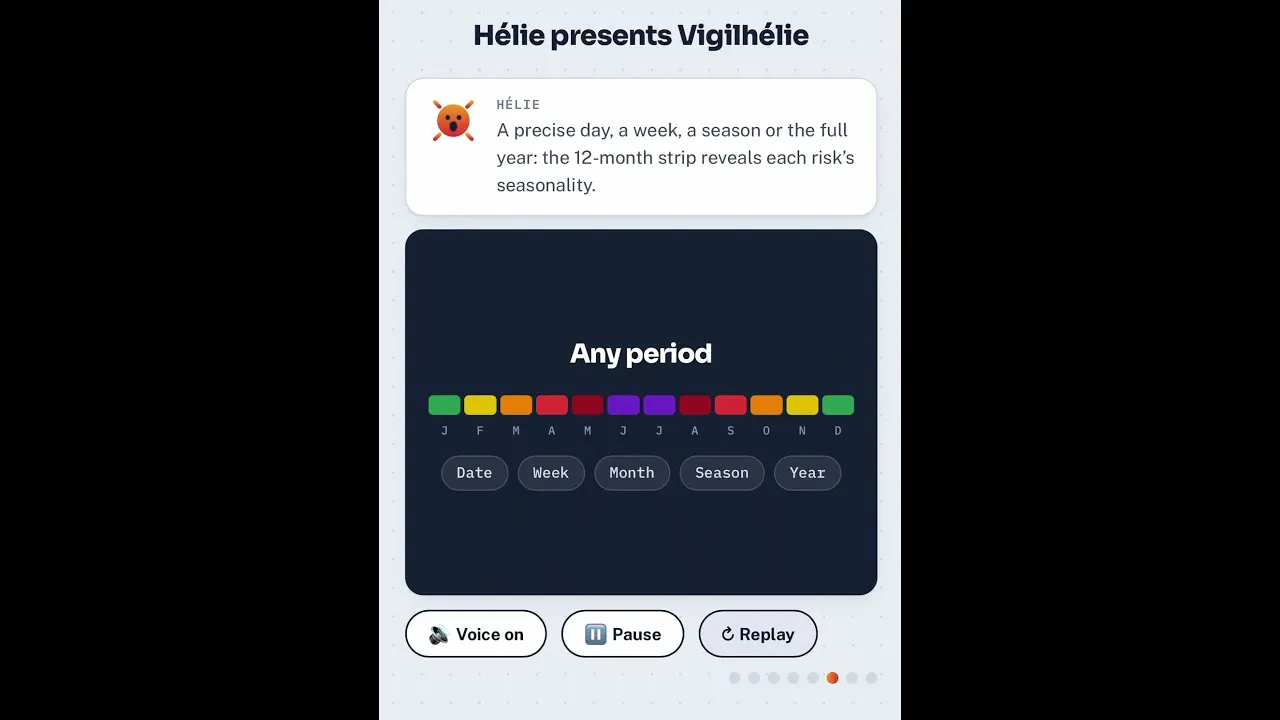 Vigilhélie gallery image